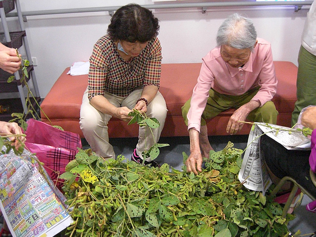 鄉土情懷 毛豆趣