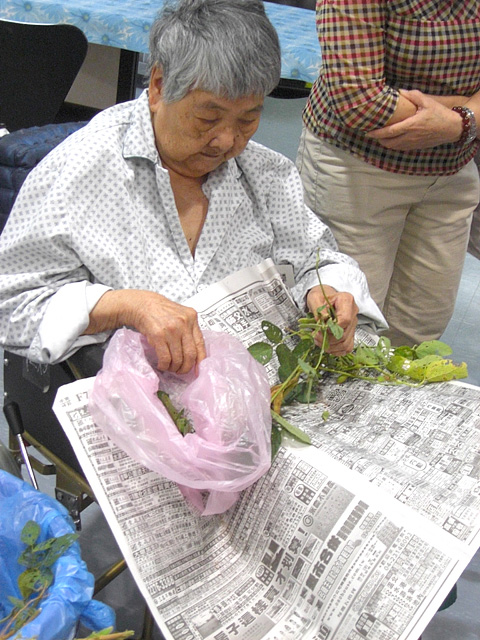 鄉土情懷 毛豆趣