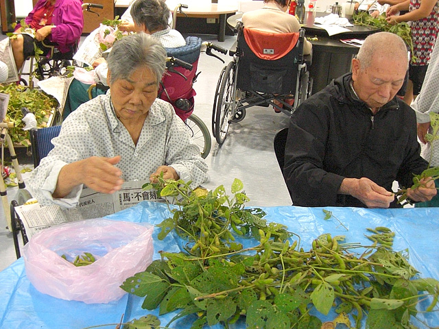鄉土情懷 毛豆趣