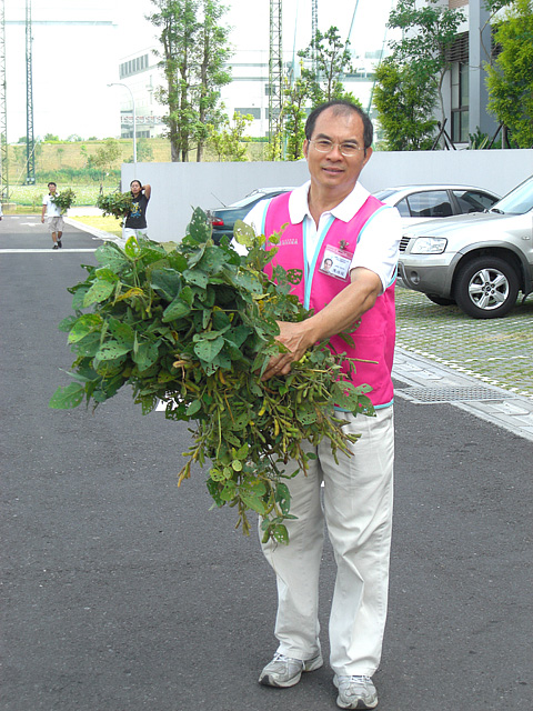 鄉土情懷 毛豆趣