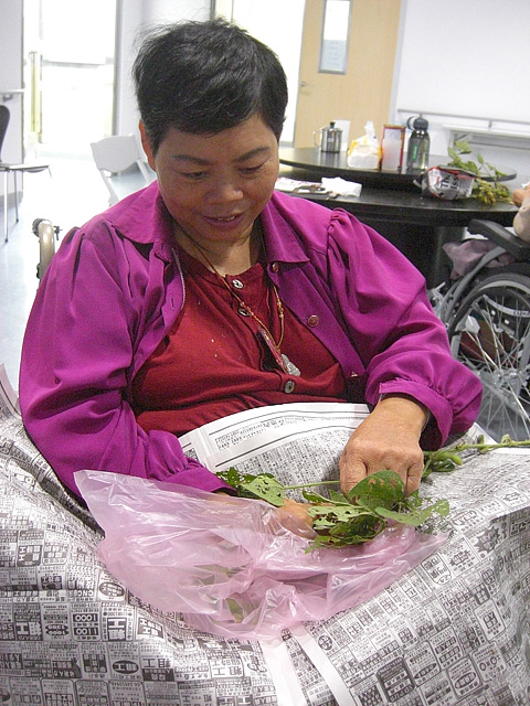 鄉土情懷 毛豆趣