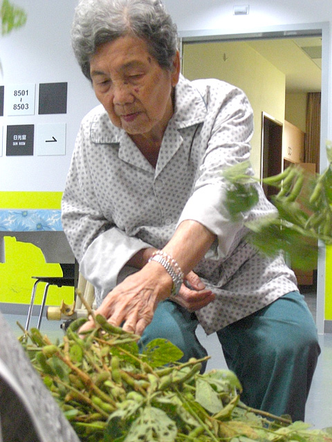 鄉土情懷 毛豆趣