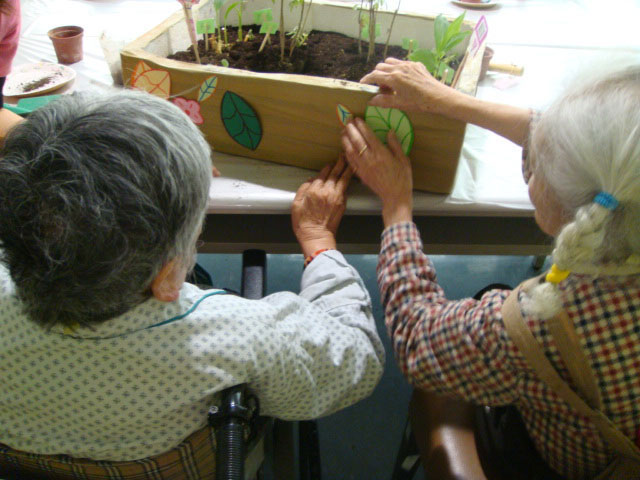 弘光科技大學老人福利與事業系所-花言花語.綠生活