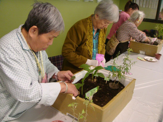 弘光科技大學老人福利與事業系所-花言花語.綠生活